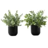 Artificial Plant, 11" Tall, Eucalyptus Grass, Indoor, Faux, Fake, Table, Greenery, Potted, Set Of 2, Decorative, Green Leaves, Black Pots