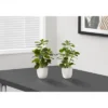 Artificial Plant, 14" Tall, Ficus, Indoor, Faux, Fake, Table, Greenery, Potted, Set Of 2, Decorative, Green Leaves, White Pots