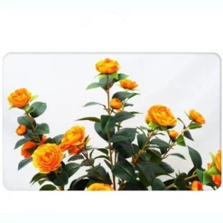 Artificial Camellia Tree 2 Pack, 36"Faux Camellia Plant In Pot With Orange Flowers, Greenery Potted Plant For Indoor Outdoor Office Home Porch Decor -House Furnish World GUEST 26022a48 e80a 47be a749 e9ff811655c8