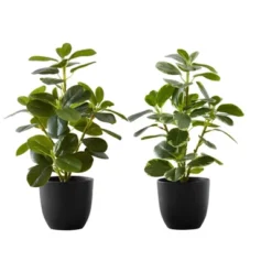 Artificial Plant, 14" Tall, Ficus, Indoor, Faux, Fake, Table, Greenery, Potted, Set Of 2, Decorative, Green Leaves, Black Pots