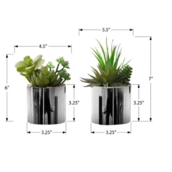 Artificial Plant, 7" Tall, Succulent, Indoor, Faux, Fake, Table, Greenery, Potted, Set Of 2, Decorative, Green Plants, Chrome Pots -House Furnish World GUEST 34eabc85 4178 4513 87e3 75e784974c9e
