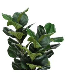 Artificial Plant, 32" Tall, Fiddle Tree, Indoor, Faux, Fake, Floor, Greenery, Potted, Real Touch, Decorative, Green Leaves, Black Pot 7 Artificial Plant, 32" Tall, Fiddle Tree, Indoor, Faux, Fake, Floor, Greenery, Potted, Real Touch, Decorative, Green Leaves, Black Pot -House Furnish World GUEST 44d90cdf 9392 4294 bc90 8c97cf8e5c6a