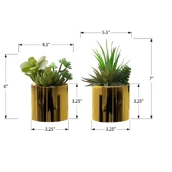 Artificial Plant, 7" Tall, Succulent, Indoor, Faux, Fake, Table, Greenery, Potted, Set Of 2, Decorative, Green Plants, Glossy Gold Pots 5 Artificial Plant, 7" Tall, Succulent, Indoor, Faux, Fake, Table, Greenery, Potted, Set Of 2, Decorative, Green Plants, Glossy Gold Pots -House Furnish World GUEST 531a5ff2 f86a 456d 8e56 fa5d9072e6f7