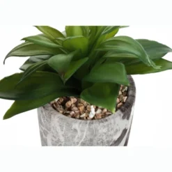 Artificial Plant, 6" Tall, Succulent, Indoor, Faux, Fake, Table, Greenery, Potted, Set Of 2, Decorative, Green Leaves, Grey Cement Pots -House Furnish World GUEST 69cf3eb5 b821 4459 8d83 e89eaf37b969