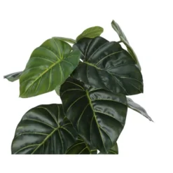 Artificial Plant, 24" Tall, Alocasia, Indoor, Faux, Fake, Table, Greenery, Potted, Real Touch, Decorative, Green Leaves, Black Pot -House Furnish World GUEST 718447a6 4aa0 490c a7c7 2f87ce9537f9