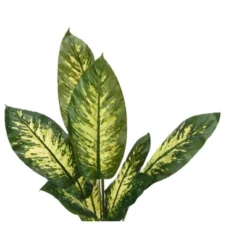 Artificial Plant, 47" Tall, Evergreen Tree, Indoor, Faux, Fake, Floor, Greenery, Potted, Real Touch, Decorative, Green Leaves, Black Pot -House Furnish World GUEST 989c81a5 7ee6 40ab 95ee 6ba50f027d7a