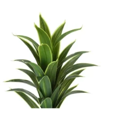Artificial Plant, 47" Tall, Dracaena Tree, Indoor, Faux, Fake, Floor, Greenery, Potted, Real Touch, Decorative, Green Leaves, Black Pot -House Furnish World GUEST ada747ce f692 4c87 878e 6e858a21897a