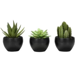 Artificial Plant, 6" Tall, Succulent, Indoor, Faux, Fake, Table, Greenery, Potted, Set Of 3, Decorative, Green Plants, Black Pots -House Furnish World GUEST b11a6905 8c1b 48ae be5c 6e305404214f