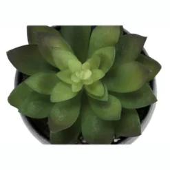 Artificial Plant, 6" Tall, Succulent, Indoor, Faux, Fake, Table, Greenery, Potted, Set Of 3, Decorative, Green Plants, Grey Cement Pots 13 Artificial Plant, 6" Tall, Succulent, Indoor, Faux, Fake, Table, Greenery, Potted, Set Of 3, Decorative, Green Plants, Grey Cement Pots -House Furnish World GUEST b4dbac30 a12f 4391 9eb2 fe28fe02e761