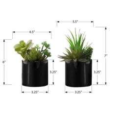Artificial Plant, 7" Tall, Succulent, Indoor, Faux, Fake, Table, Greenery, Potted, Set Of 2, Decorative, Green Plants, Glossy Black Pots -House Furnish World GUEST bcb237b8 cc13 416a 96a2 c36540616021