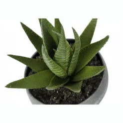Artificial Plant, 6" Tall, Succulent, Indoor, Faux, Fake, Table, Greenery, Potted, Set Of 3, Decorative, Green Plants, Grey Cement Pots 11 Artificial Plant, 6" Tall, Succulent, Indoor, Faux, Fake, Table, Greenery, Potted, Set Of 3, Decorative, Green Plants, Grey Cement Pots -House Furnish World GUEST c10bb3ed ce8b 4ba3 971a c8243a6078ee
