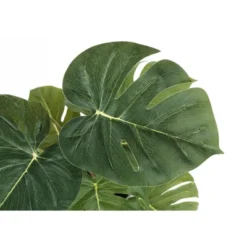 Artificial Plant, 13" Tall, Monstera Calthea, Indoor, Faux, Fake, Table, Greenery, Potted, Set Of 2, Decorative, Green Leaves, Black Pots -House Furnish World GUEST c179746e fb5e 4023 ae61 5ab4b22023ba