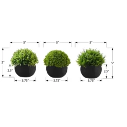 Artificial Plant, 5" Tall, Grass, Indoor, Faux, Fake, Table, Greenery, Potted, Set Of 3, Decorative, Green Plants, Black Pots -House Furnish World GUEST c925c9d2 825e 49e6 8525 ff58e69612d6