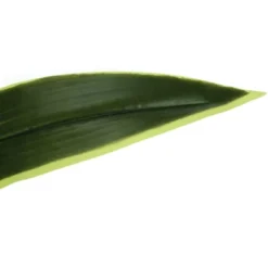 Artificial Plant, 47" Tall, Dracaena Tree, Indoor, Faux, Fake, Floor, Greenery, Potted, Real Touch, Decorative, Green Leaves, Black Pot