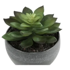 Artificial Plant, 6" Tall, Succulent, Indoor, Faux, Fake, Table, Greenery, Potted, Set Of 3, Decorative, Green Plants, Grey Cement Pots 10 Artificial Plant, 6" Tall, Succulent, Indoor, Faux, Fake, Table, Greenery, Potted, Set Of 3, Decorative, Green Plants, Grey Cement Pots -House Furnish World GUEST ddf33500 bf1f 4b9a a8bd 7f0811d96c5e