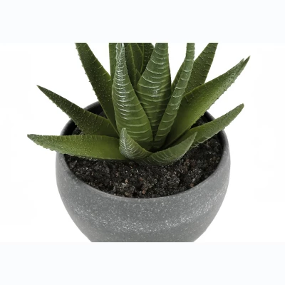 Artificial Plant, 6" Tall, Succulent, Indoor, Faux, Fake, Table, Greenery, Potted, Set Of 3, Decorative, Green Plants, Grey Cement Pots 2 Artificial Plant, 6" Tall, Succulent, Indoor, Faux, Fake, Table, Greenery, Potted, Set Of 3, Decorative, Green Plants, Grey Cement Pots - Image 2