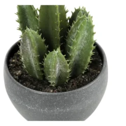Artificial Plant, 6" Tall, Succulent, Indoor, Faux, Fake, Table, Greenery, Potted, Set Of 3, Decorative, Green Plants, Grey Cement Pots 9 Artificial Plant, 6" Tall, Succulent, Indoor, Faux, Fake, Table, Greenery, Potted, Set Of 3, Decorative, Green Plants, Grey Cement Pots -House Furnish World GUEST f57fa71c 9dc3 41e3 a8c0 279d0243d28d